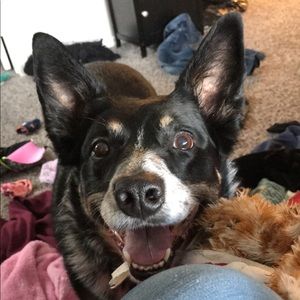 Meet your Posher, Amber